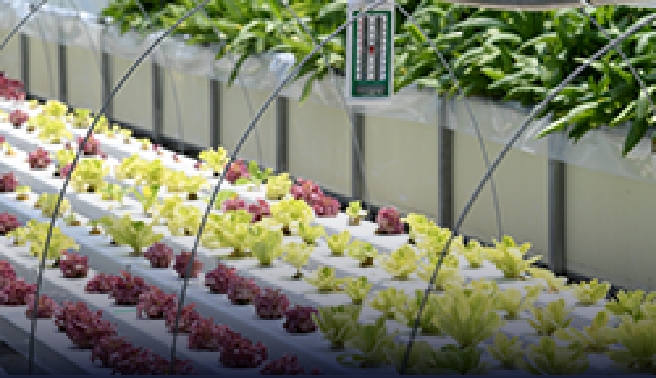 시설하우스 난방