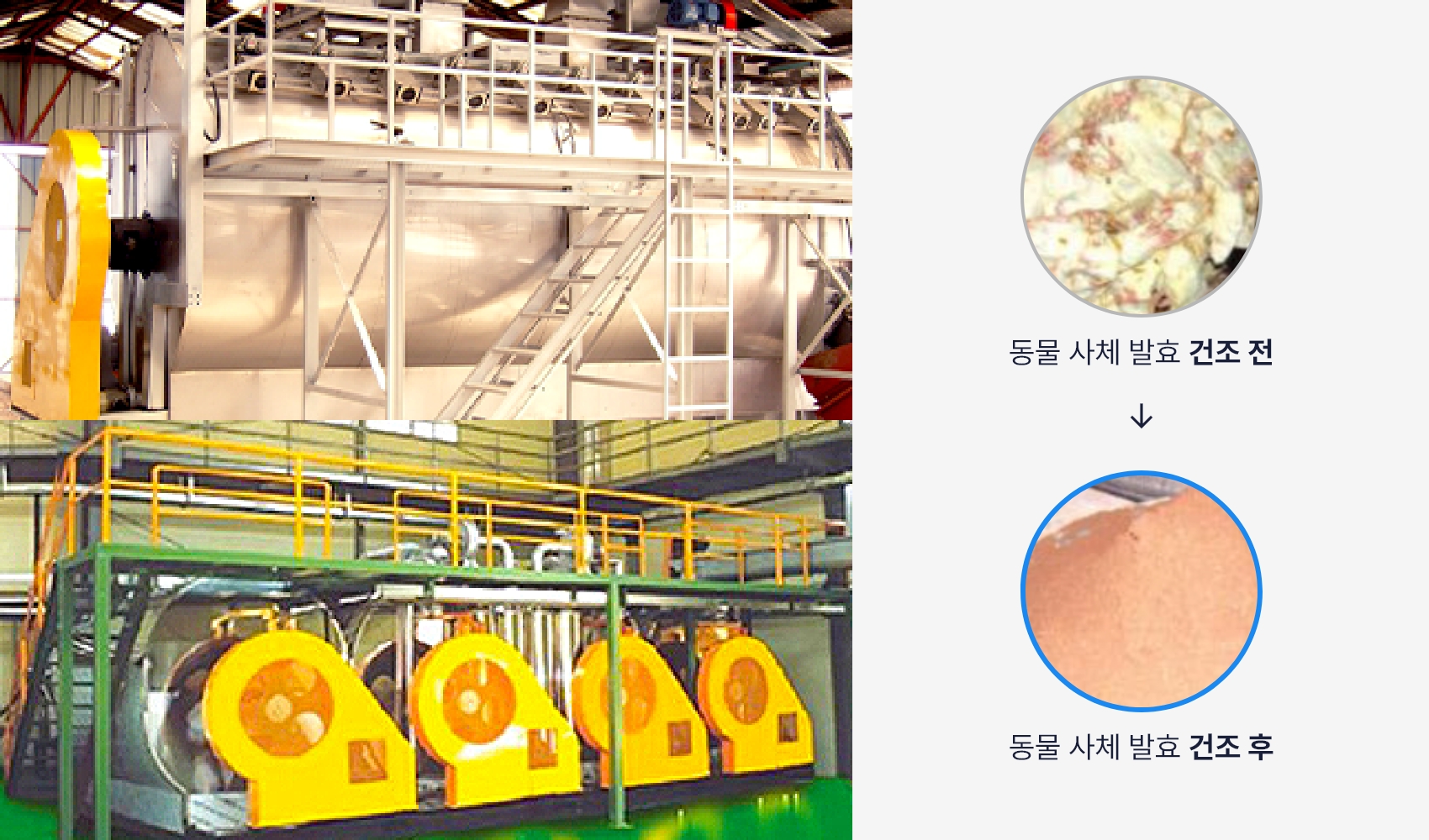 고성능 대형 발효 건조기